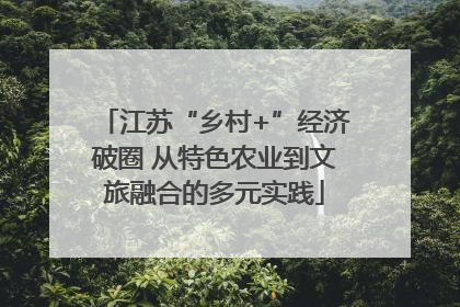 江苏“乡村+”经济破圈 从特色农业到文旅融合的多元实践